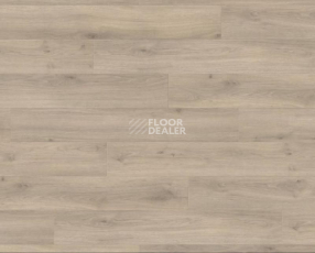 Ламинат Haro Tritty 100 4V ДУБ ЭМИЛИЯ ВЕЛЬВЕТ СЕРЫЙ 538695 фото 1 | FLOORDEALER